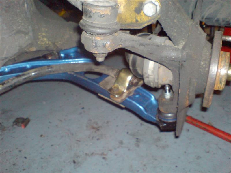 new_wishbone.jpg
