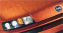 orange_calypso.jpg