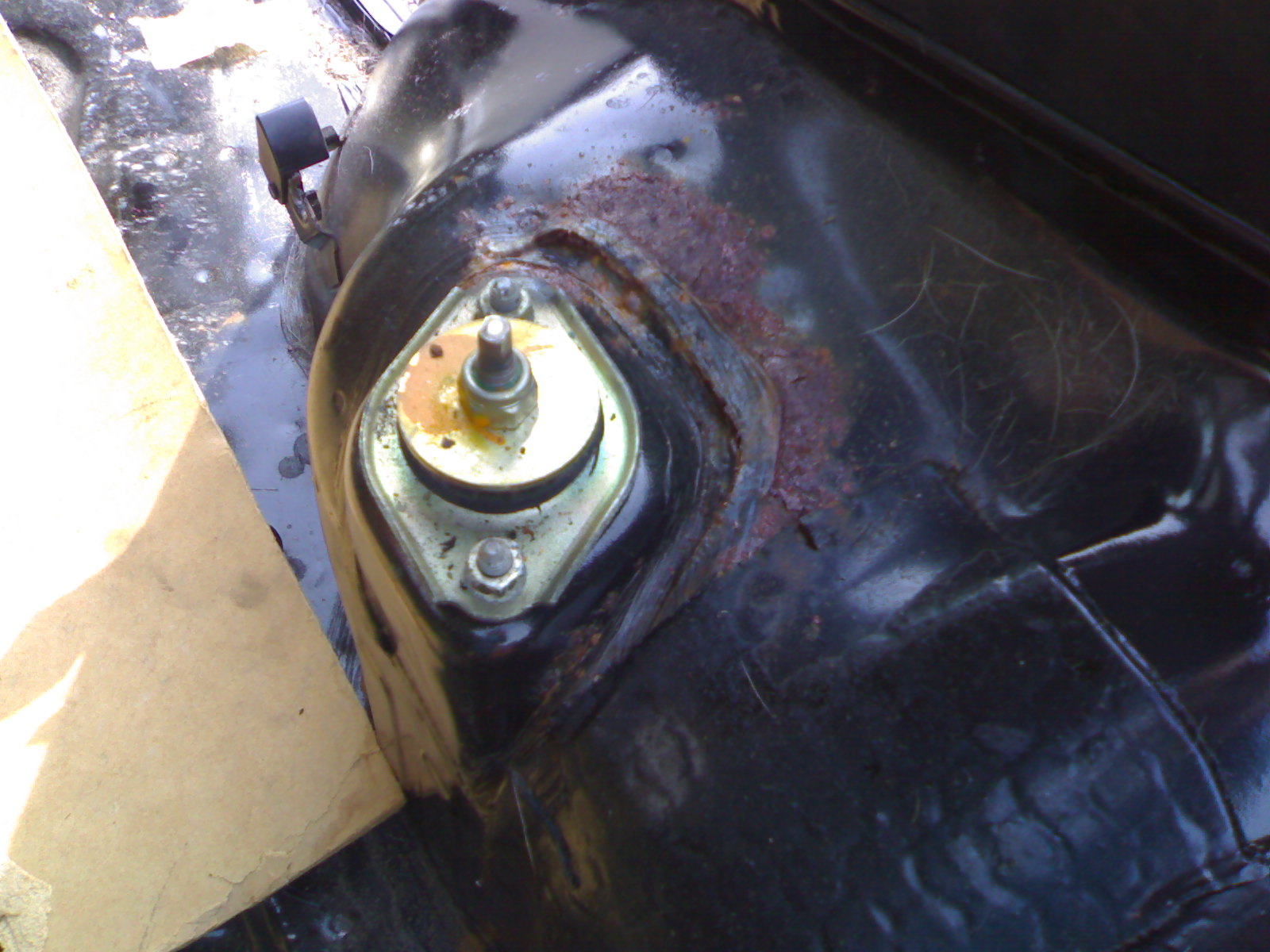 23042009814.jpg