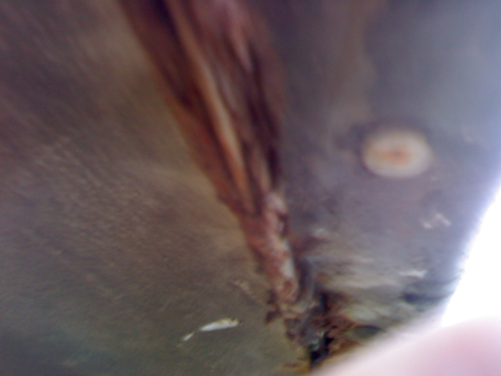 24042009838.jpg
