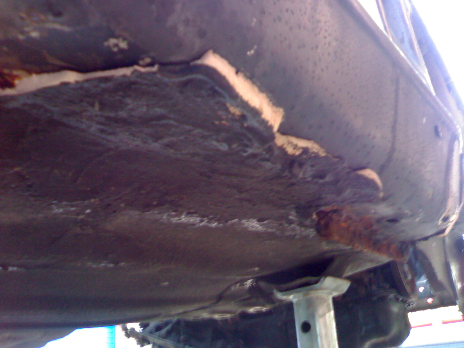 24042009841.jpg