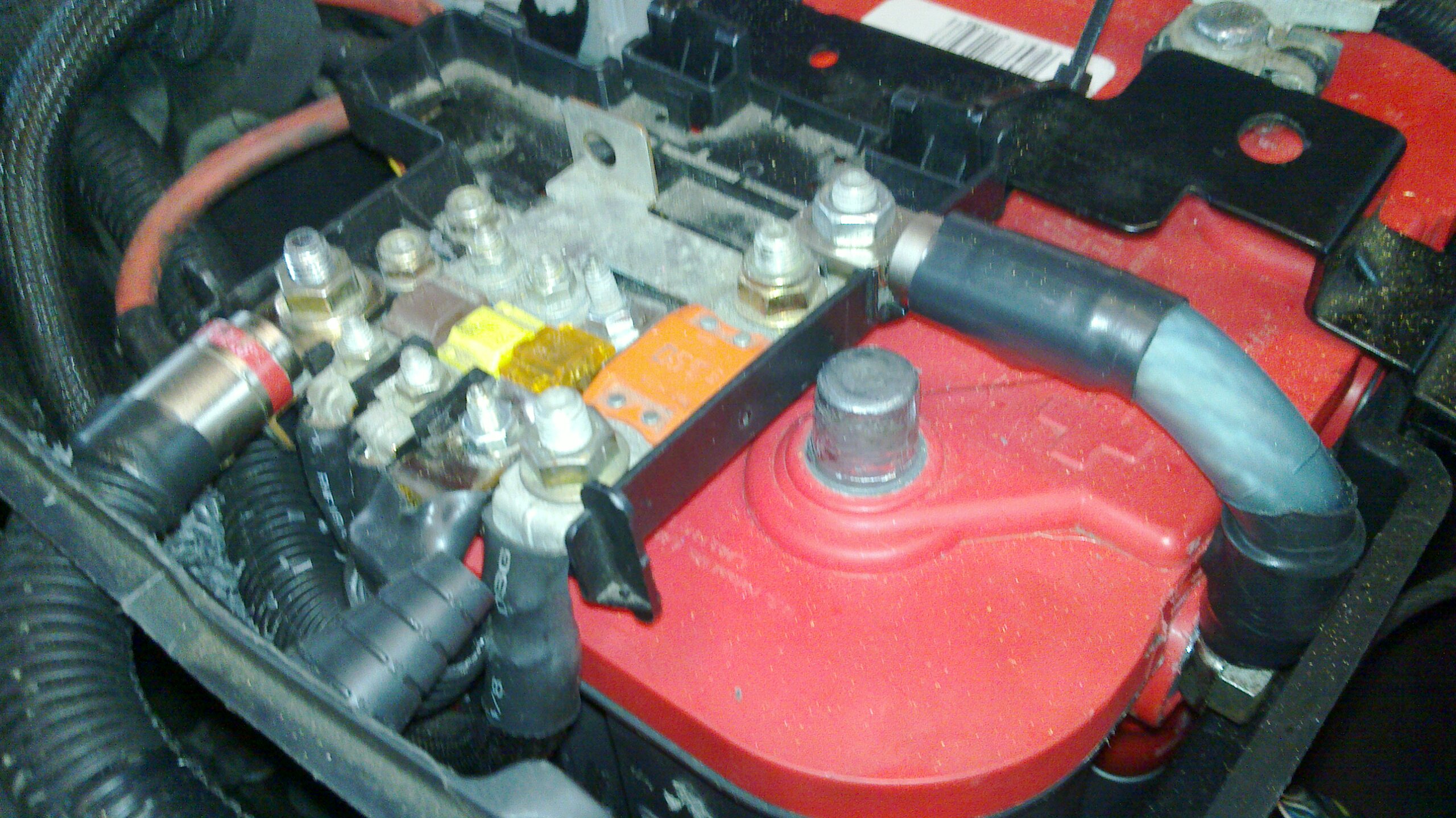 20110213_007.jpg