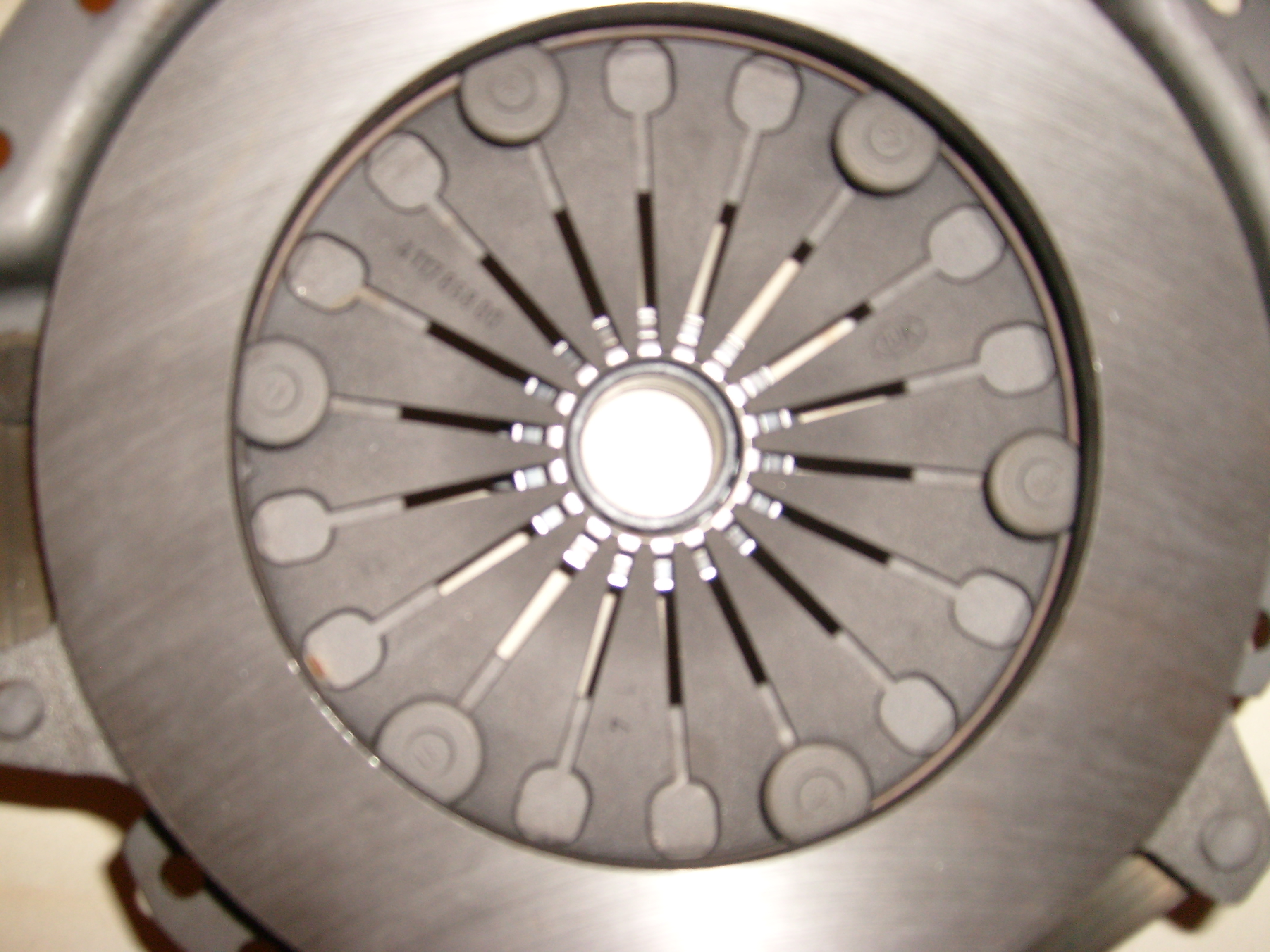 S7300345.JPG