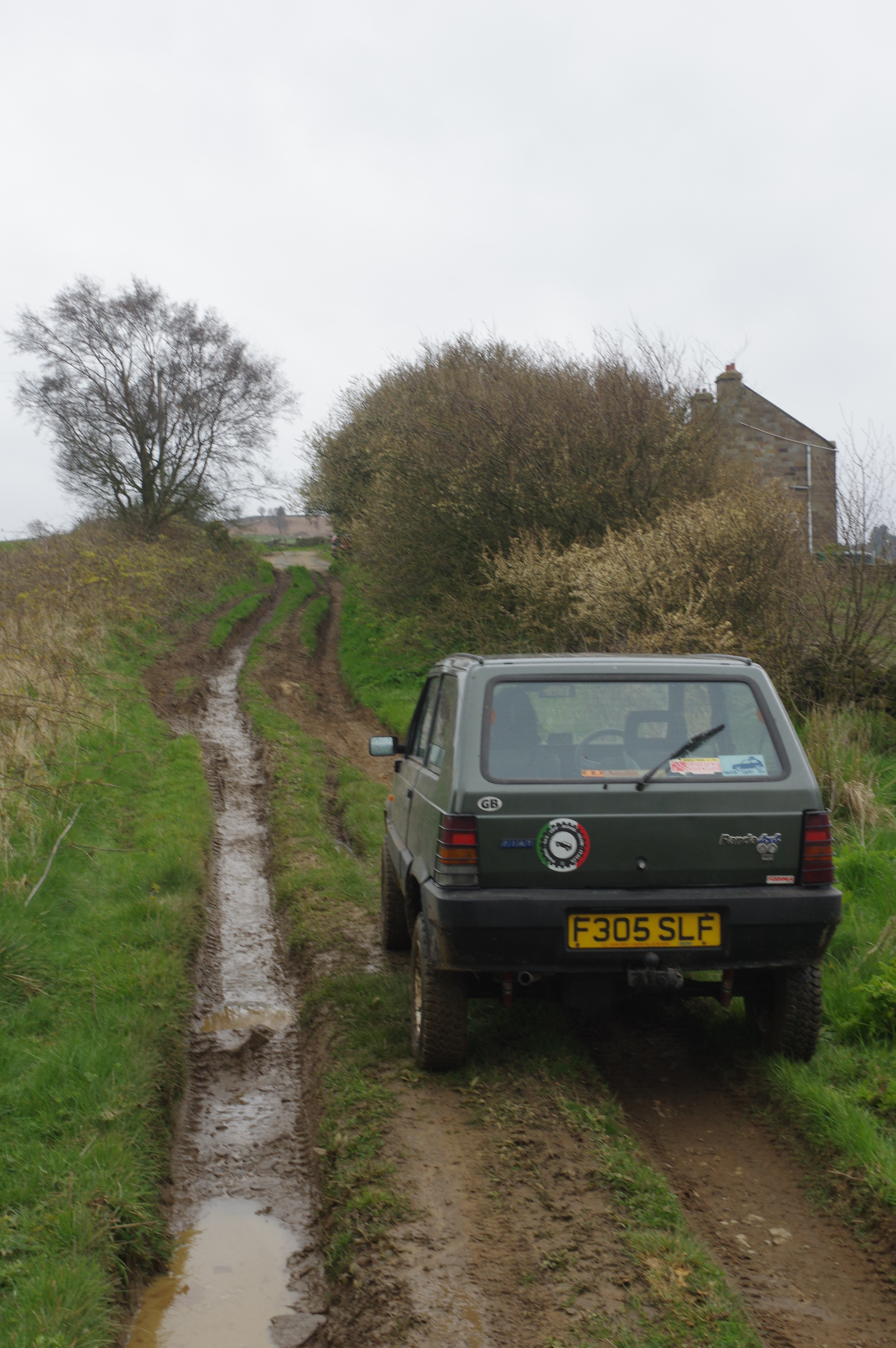 IMGP6887.JPG