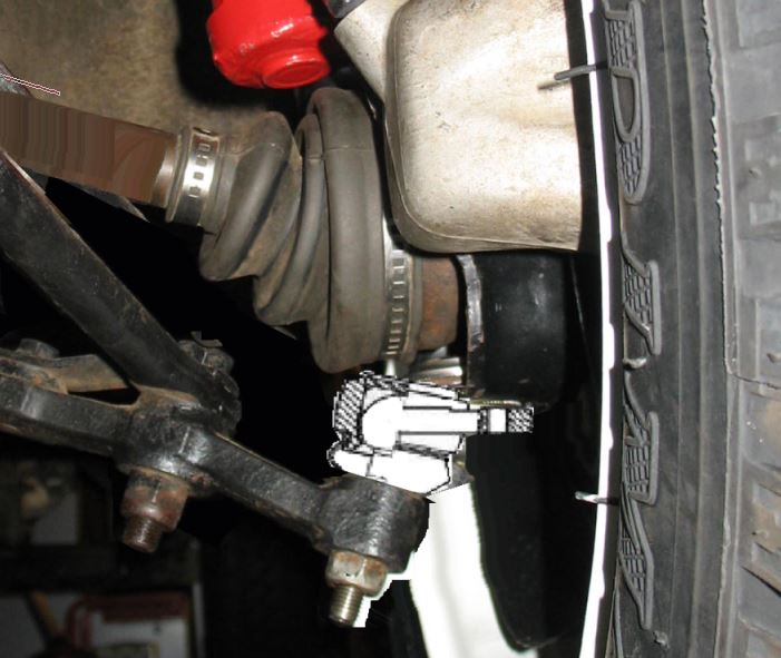 Panda_B1600.JPG