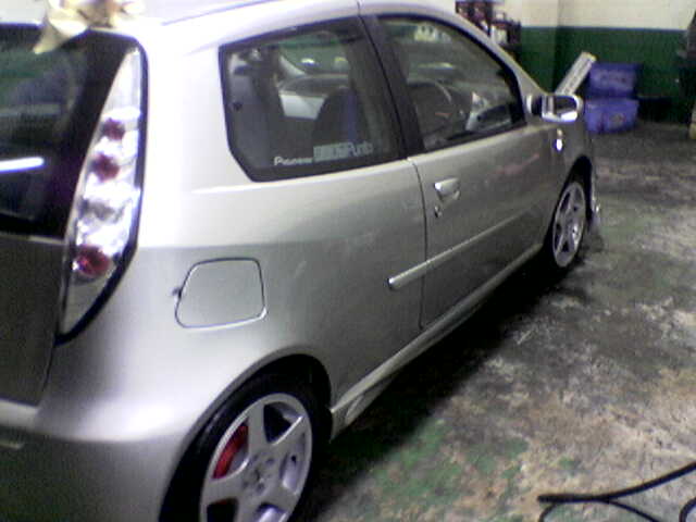 6809Side_of_car_showing_moulding_and_skirts.jpg