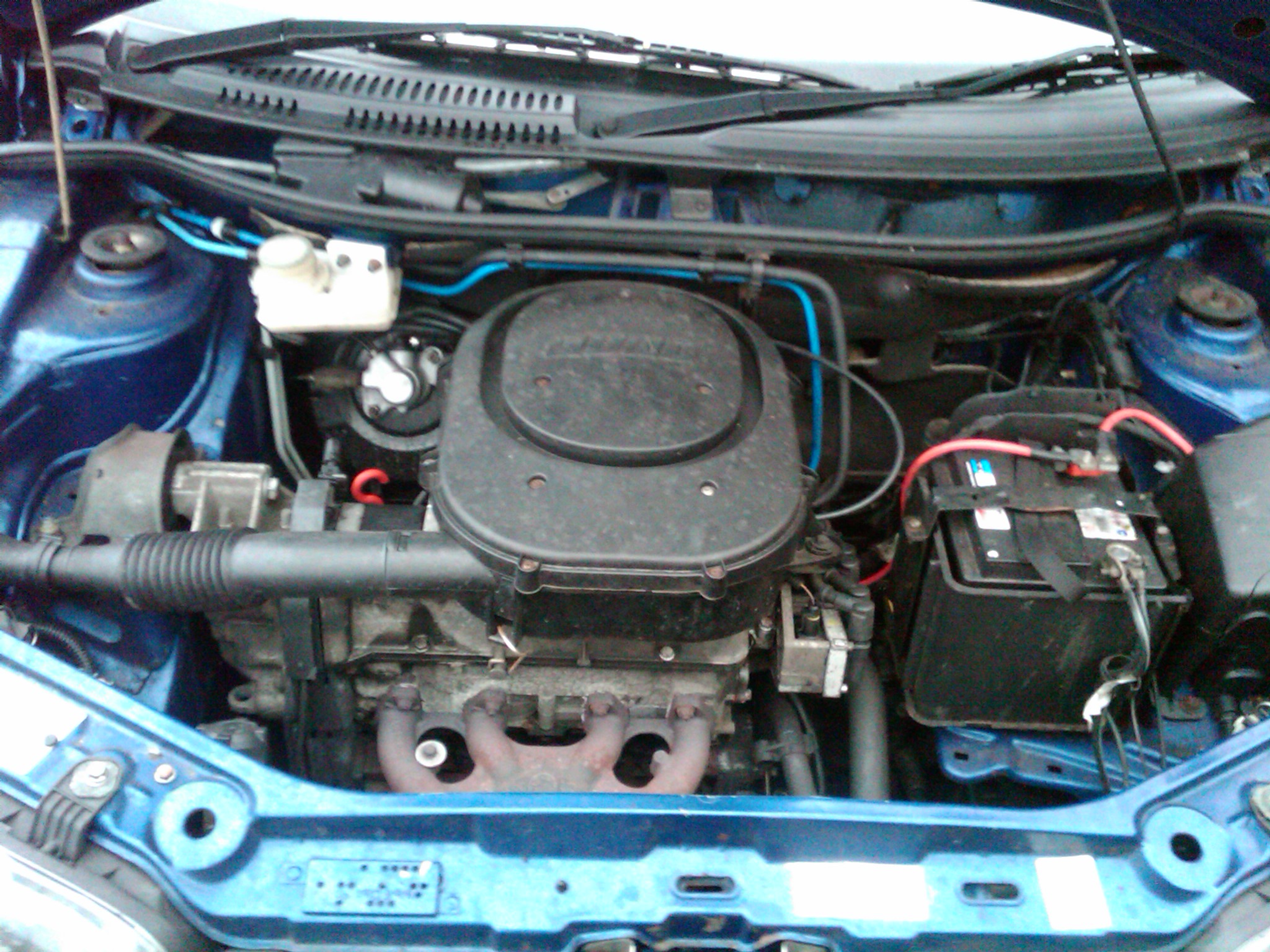 IMG00021-20101118-1459.jpg