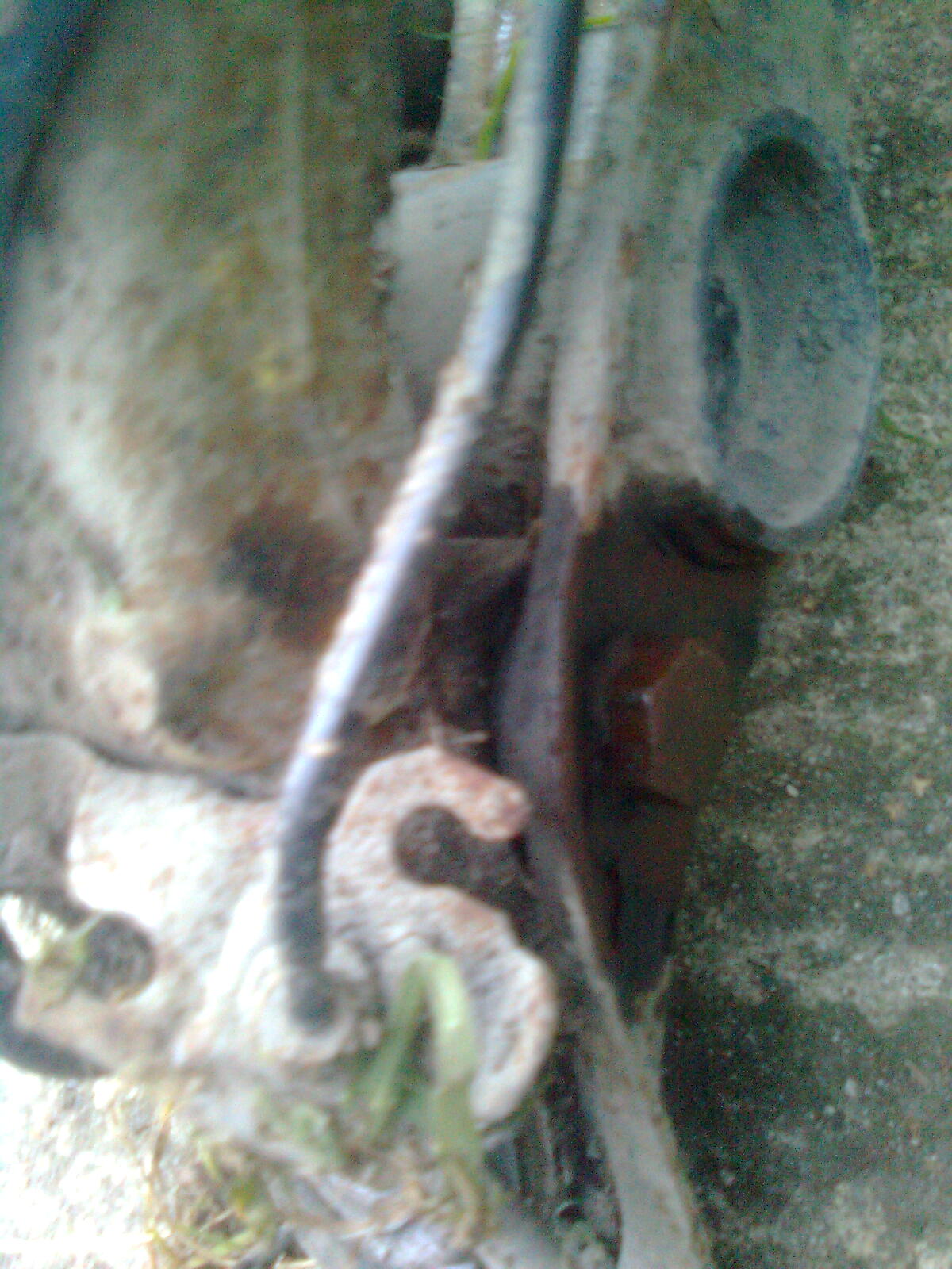 Image1282.jpg