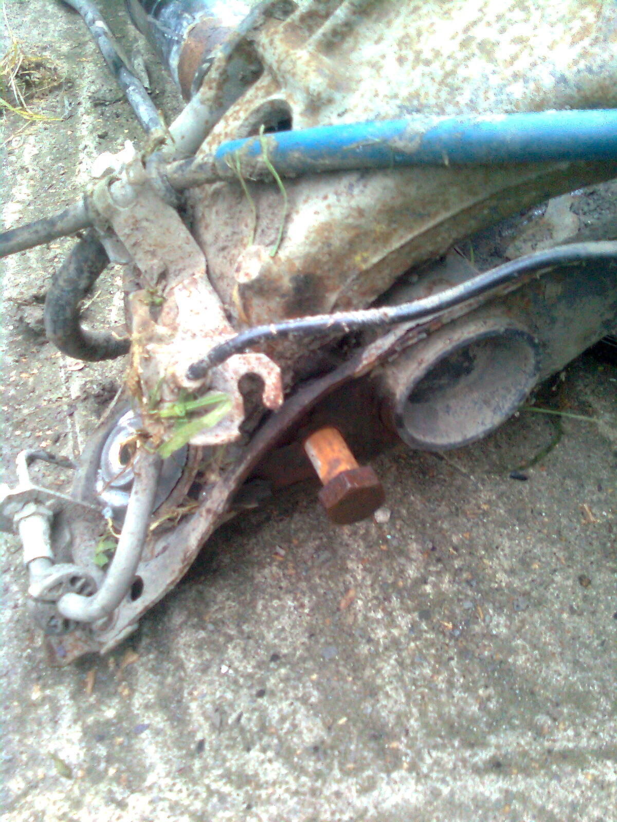 Image1283.jpg