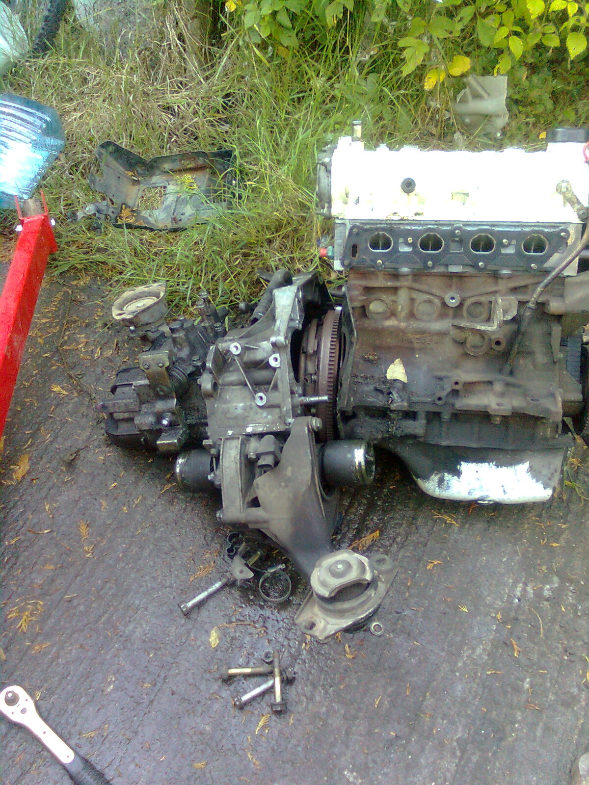 Image1301.jpg