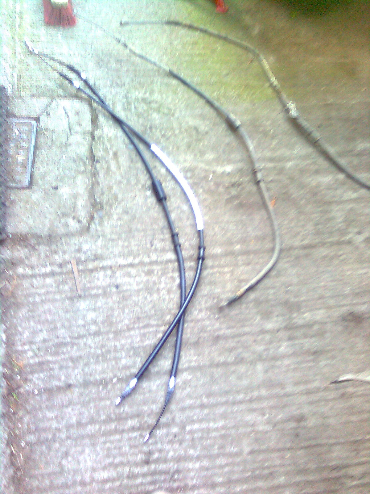 Image1836.jpg