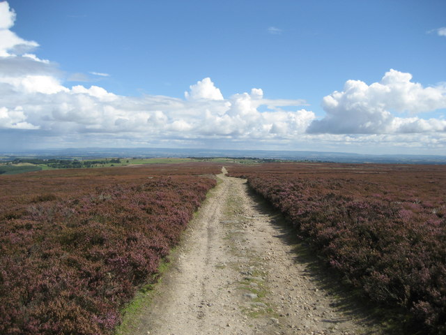 kirbymoor3.jpg