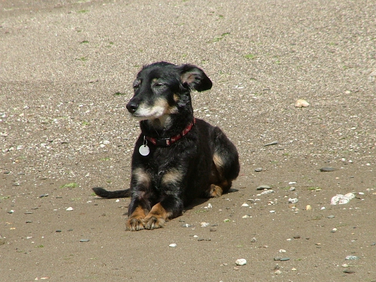 2004_0715Image0014.JPG