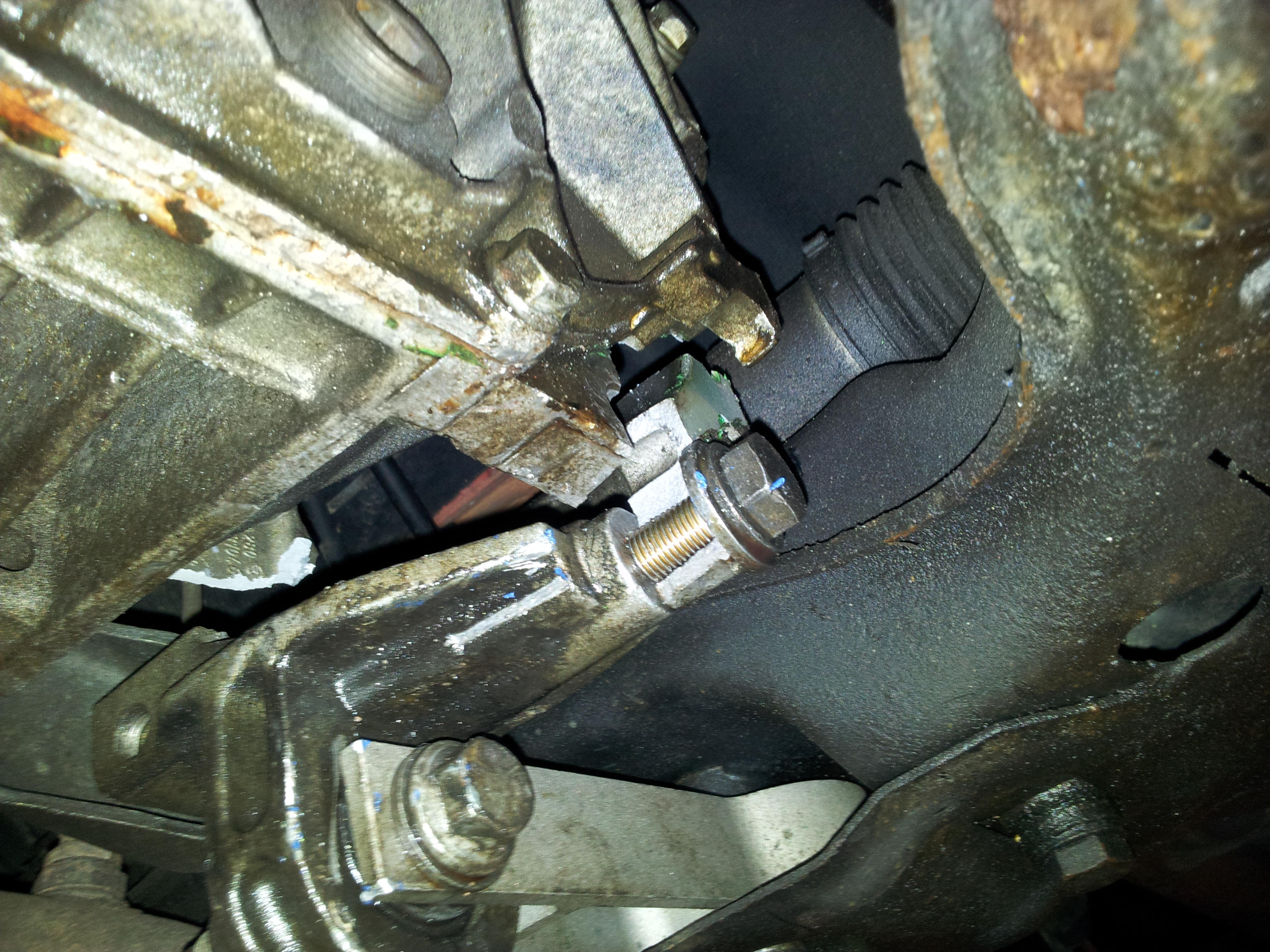 2011-06-16_08_28_16.jpg