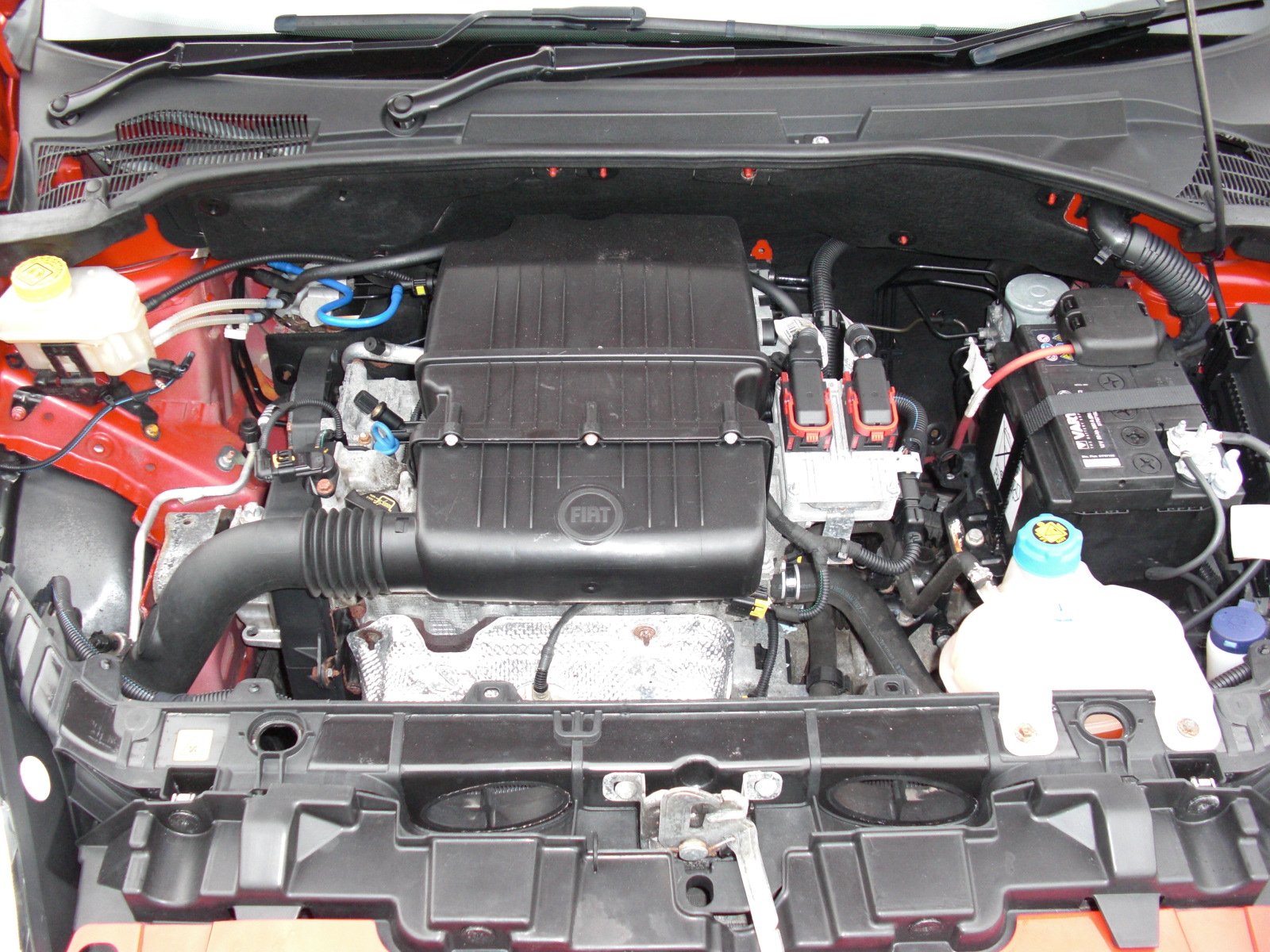 CIMG04591.JPG
