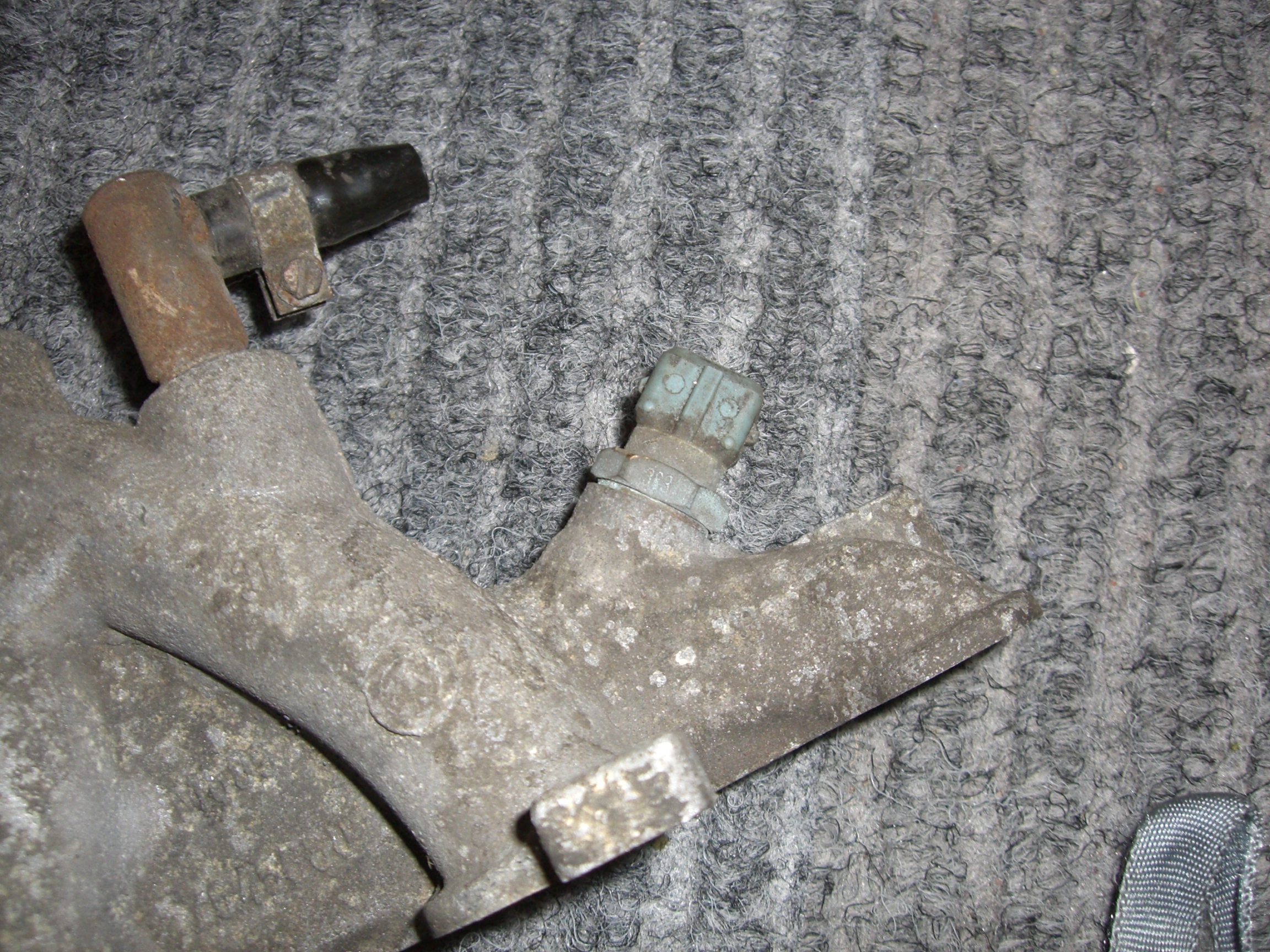 CIMG3207.JPG