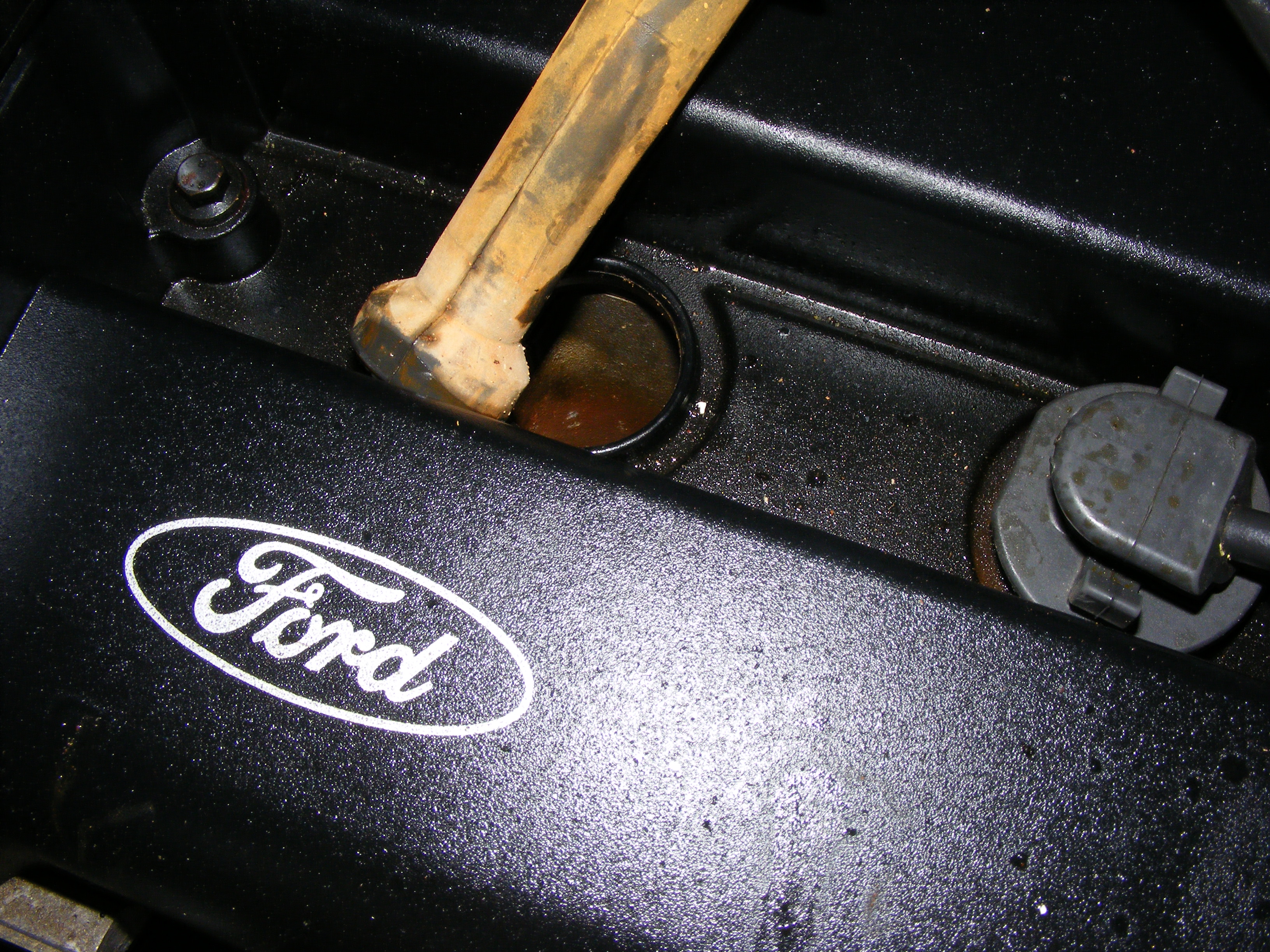 DSCF0877.JPG