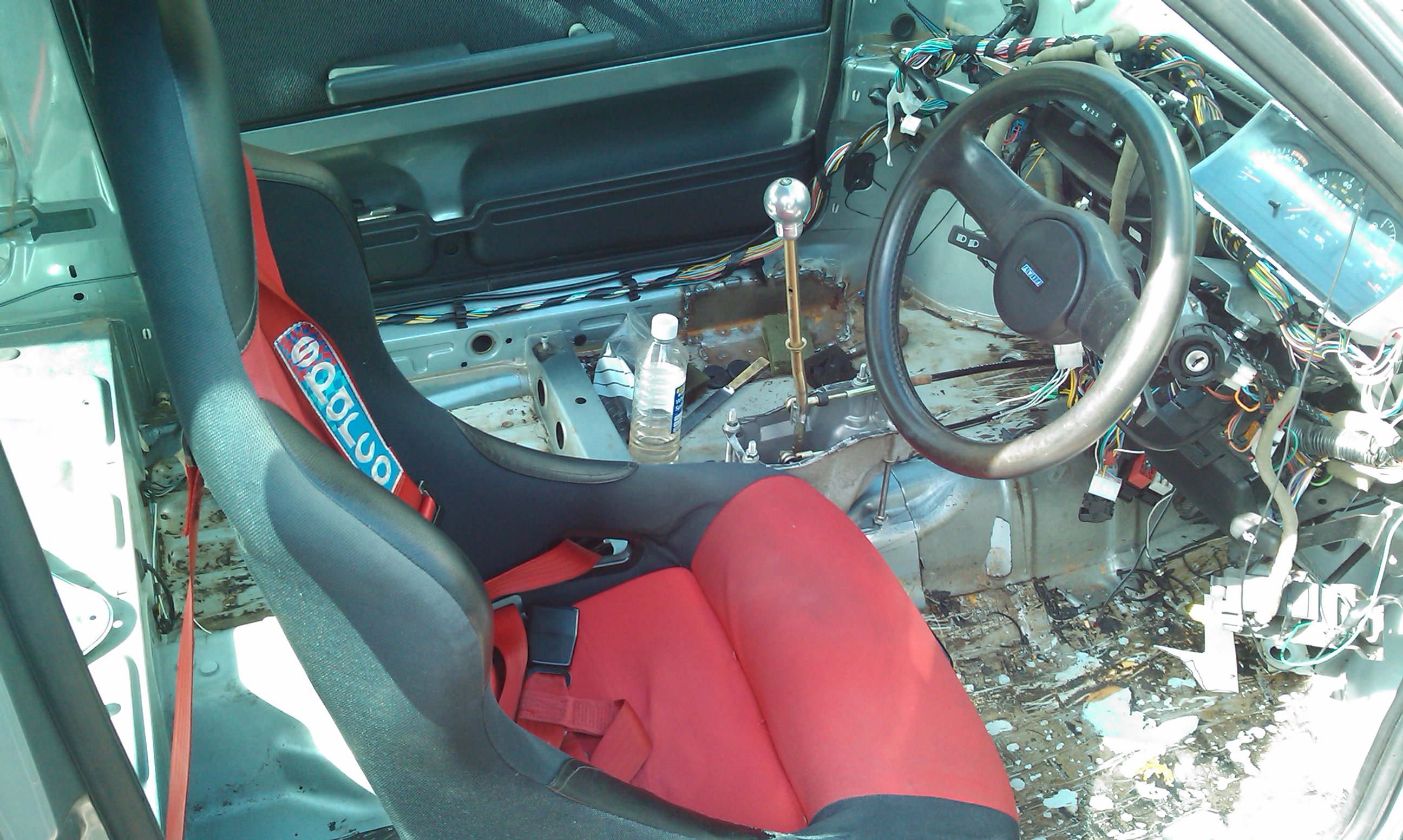 IMAG00251.jpg