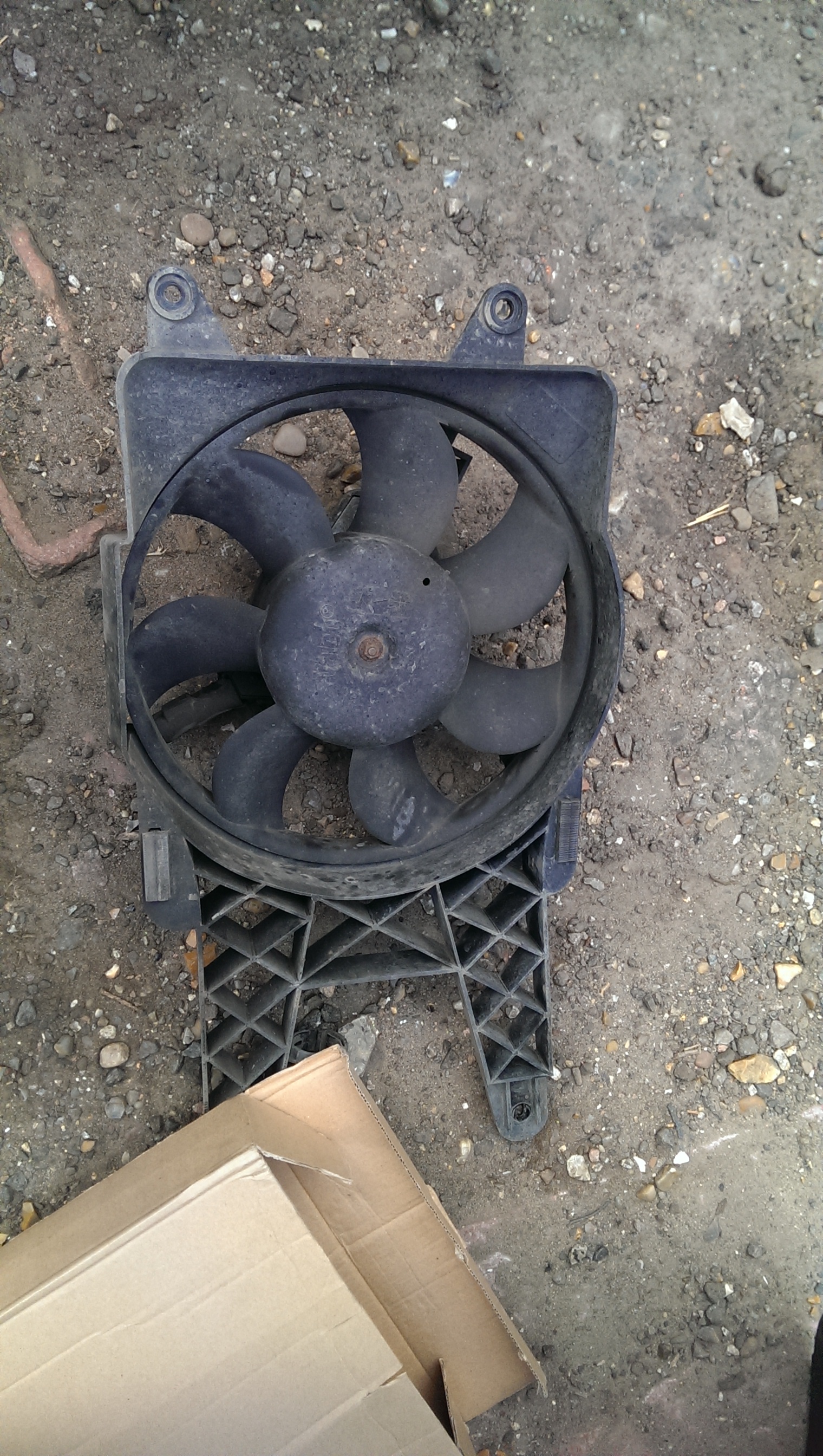 IMAG04691.jpg