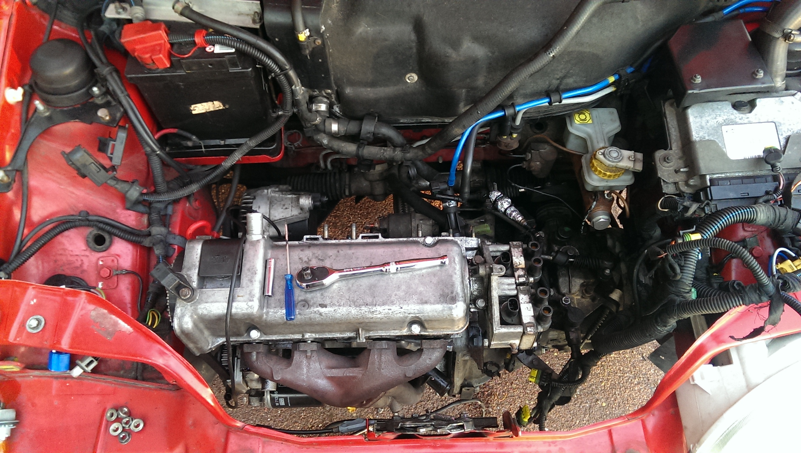 IMAG2428.jpg