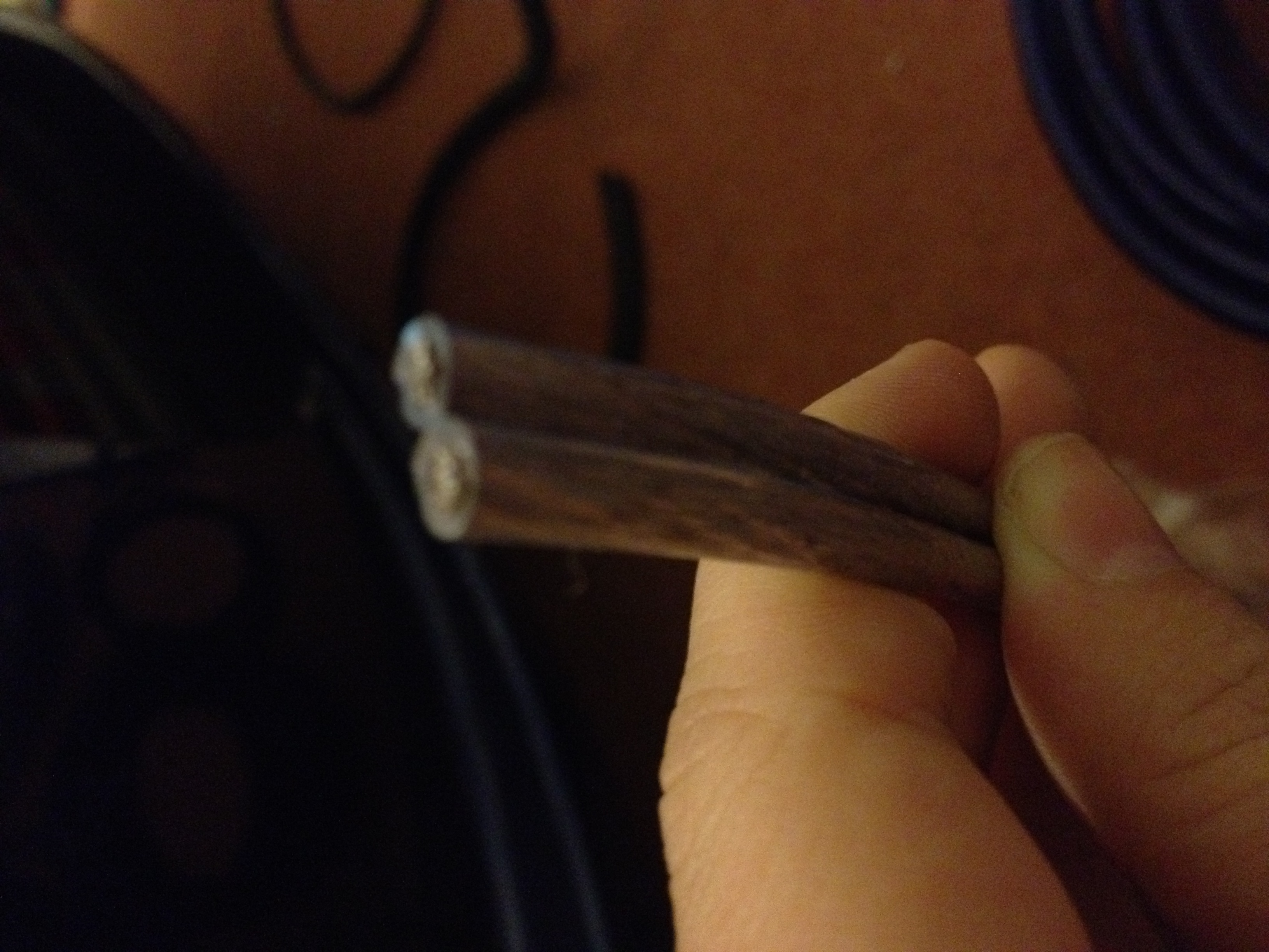 Speaker_Cable.JPG