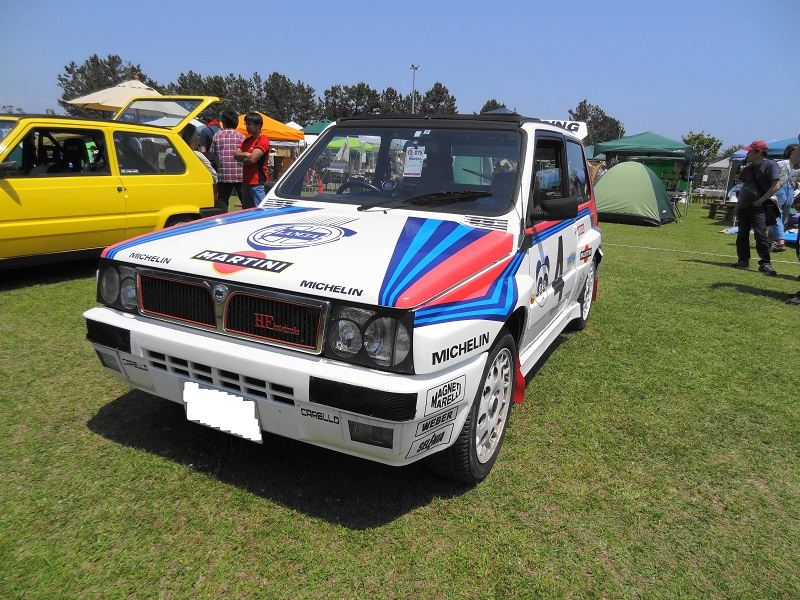 panda_HF_integrale.jpg