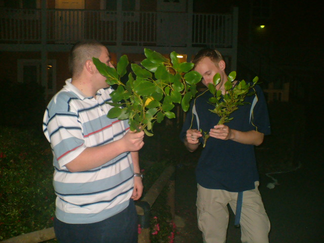 319Bush_Fight.jpg