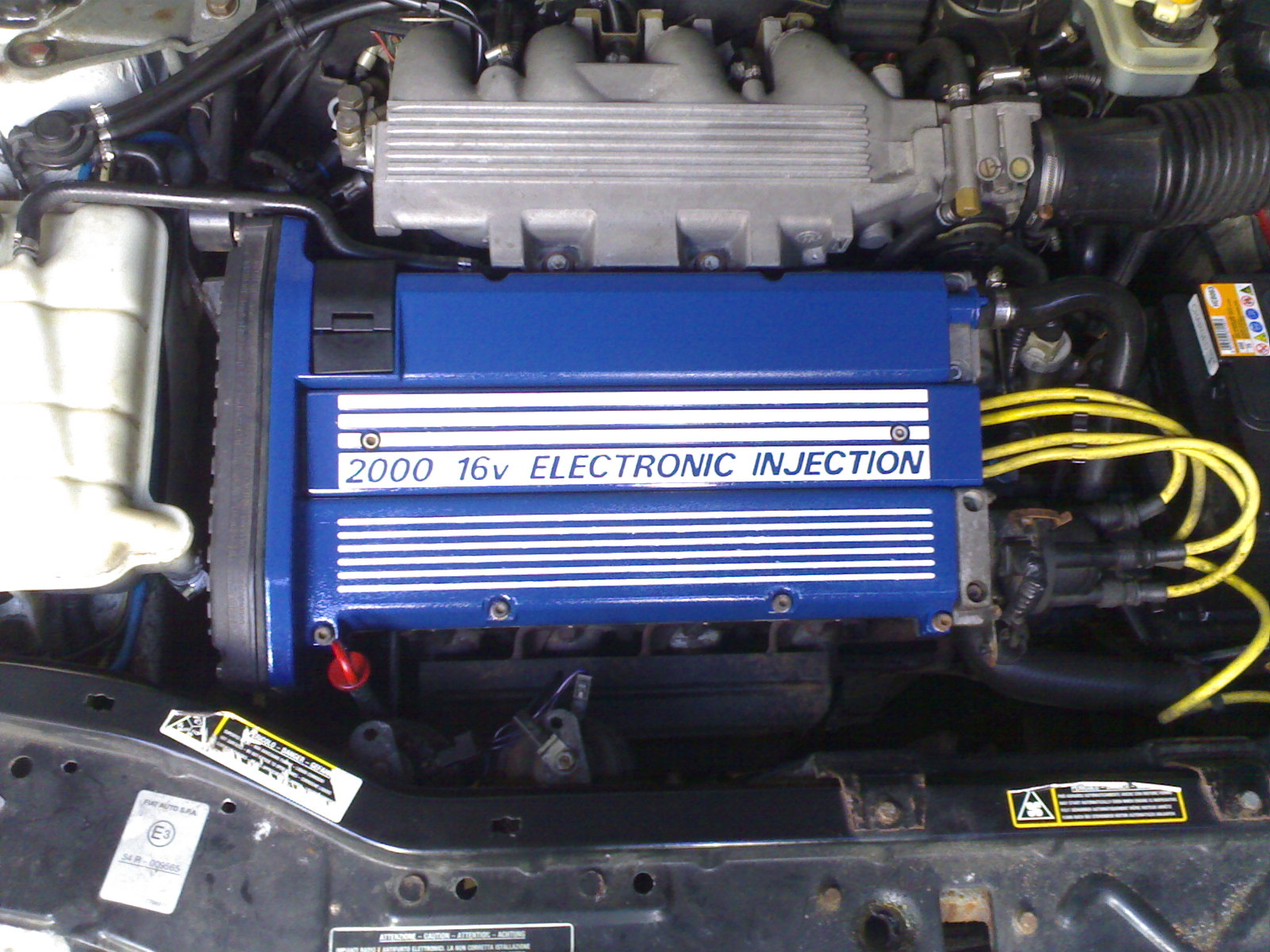 21062006026.jpg