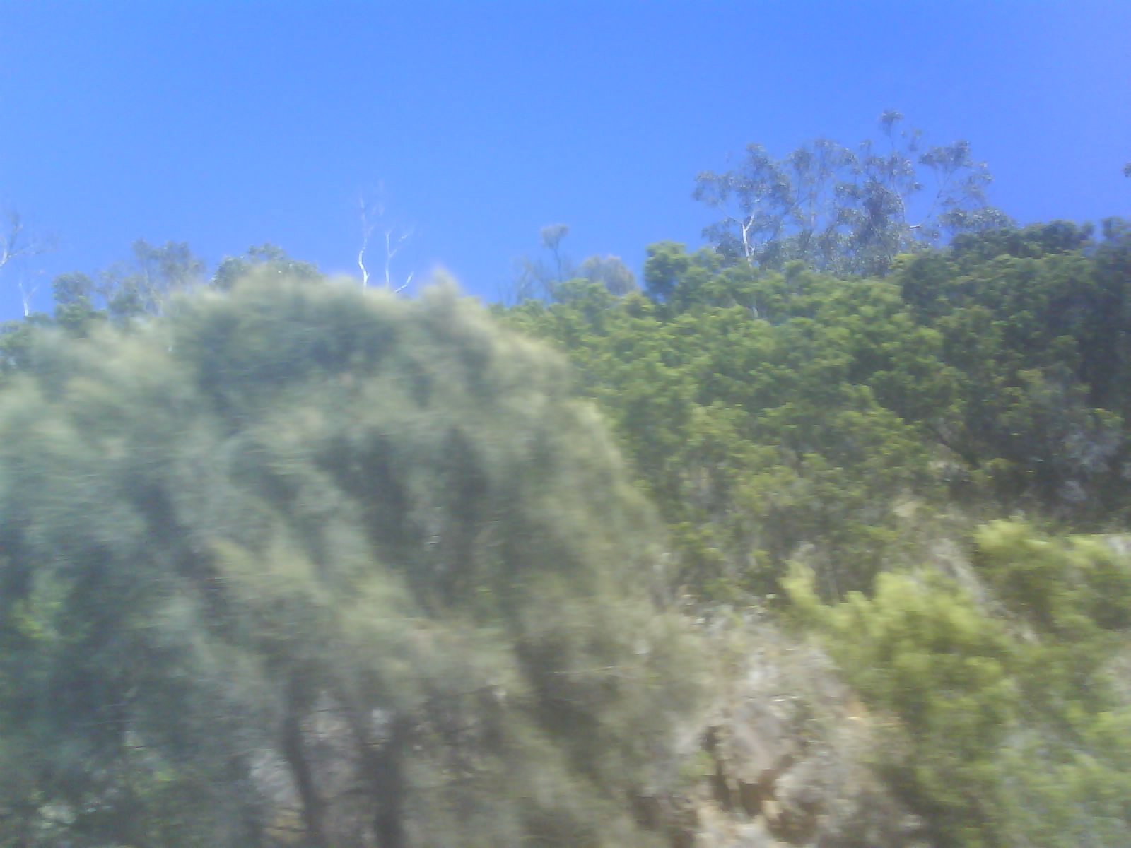 DSC006712