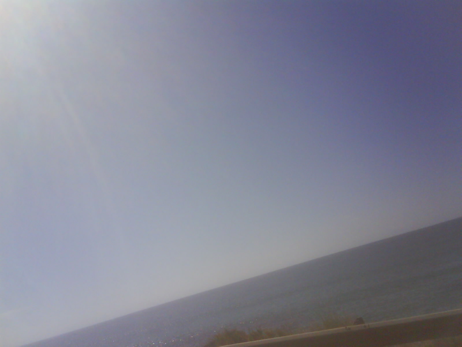 DSC006733