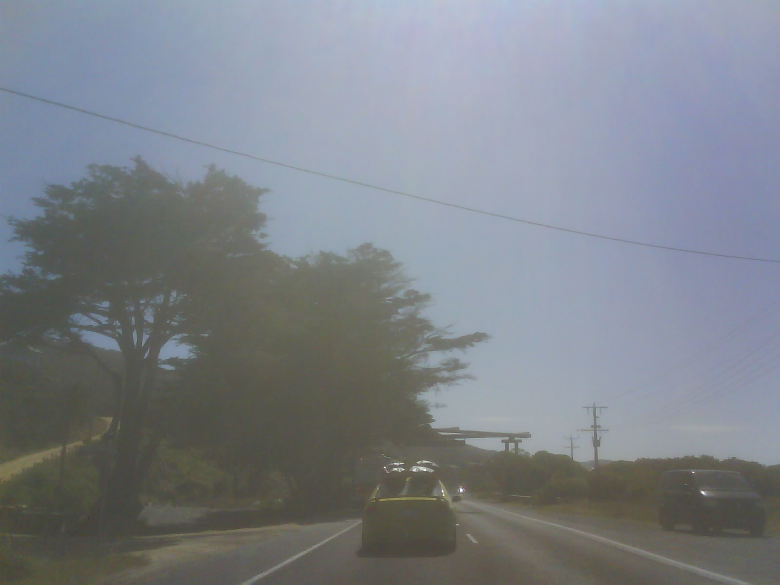 DSC006802