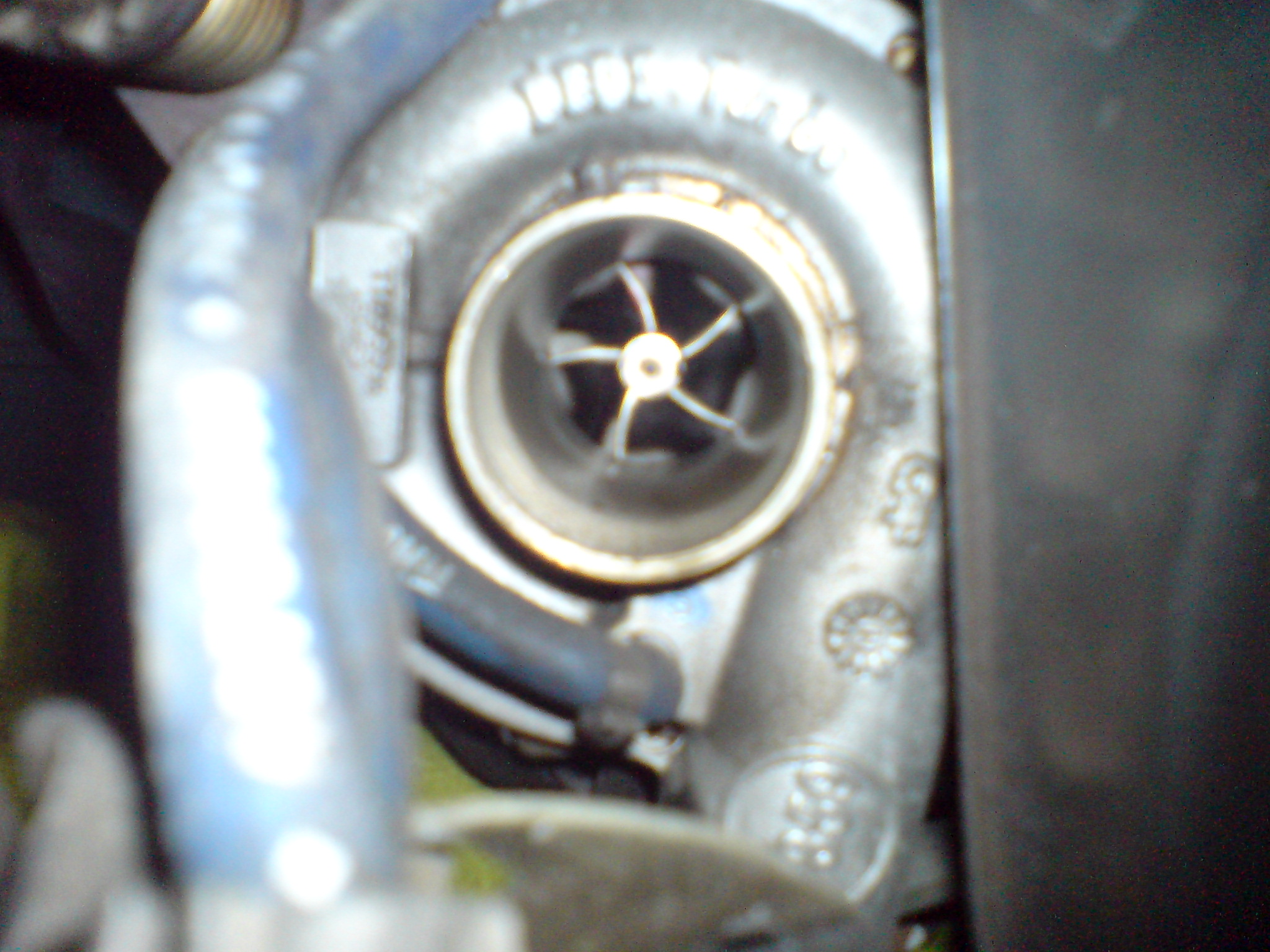 DSC00725