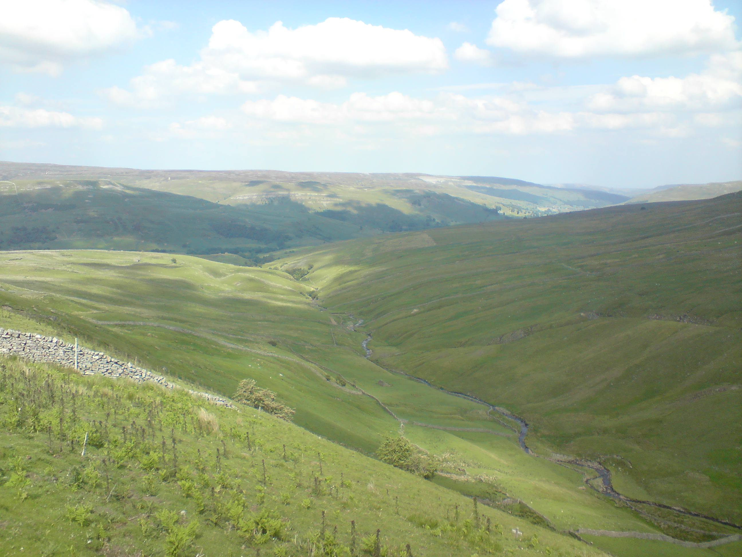 DSC009941