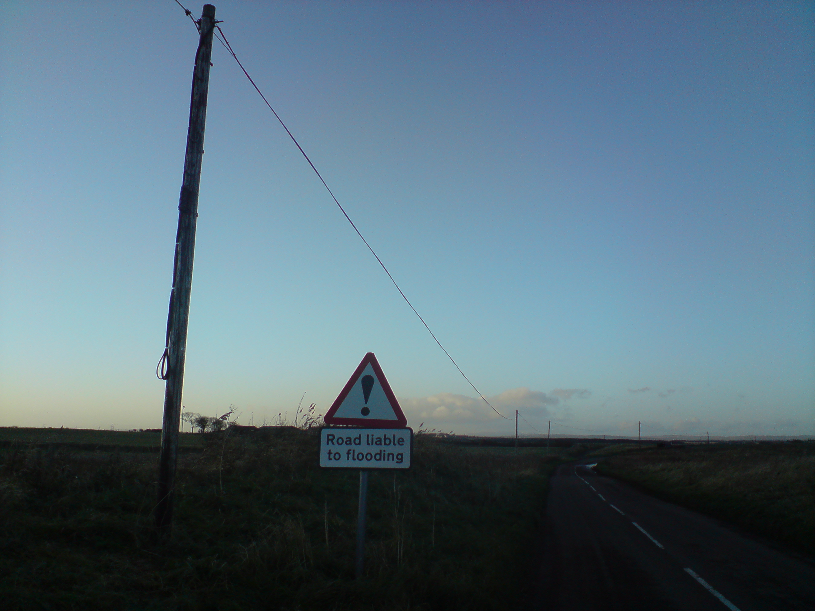 DSC012431