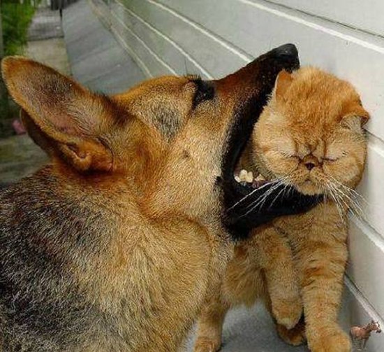 eatingpussy