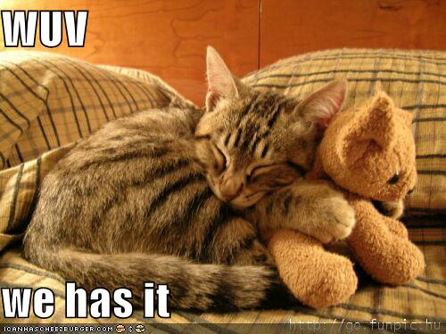 funny-pictures-cat-hugs-stuffed-bear