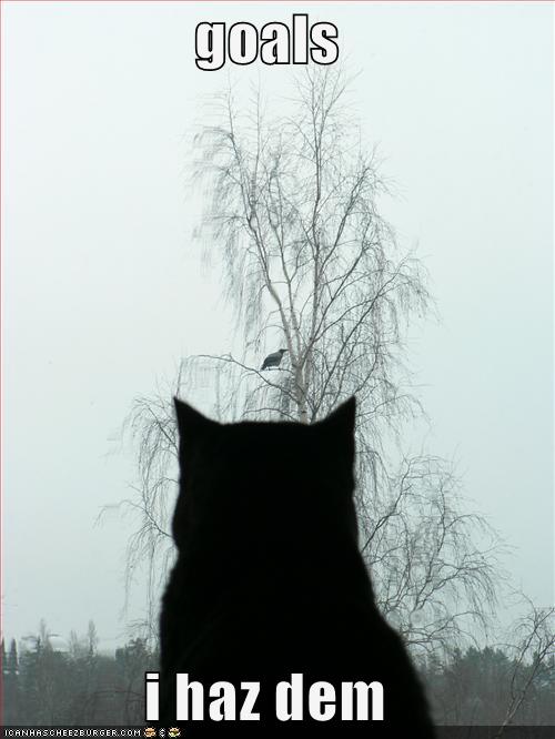 funny-pictures-cat-waits-for-bird