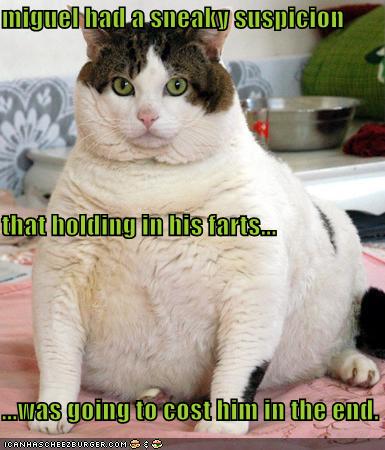 funny-pictures-fat-cat-holds-farts