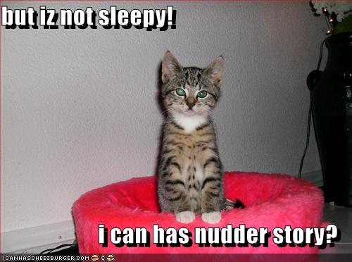 funny-pictures-kitten-bedtime-story