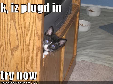 funny-pictures-kitten-plugs-in-tv