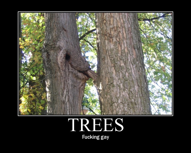 gaytree