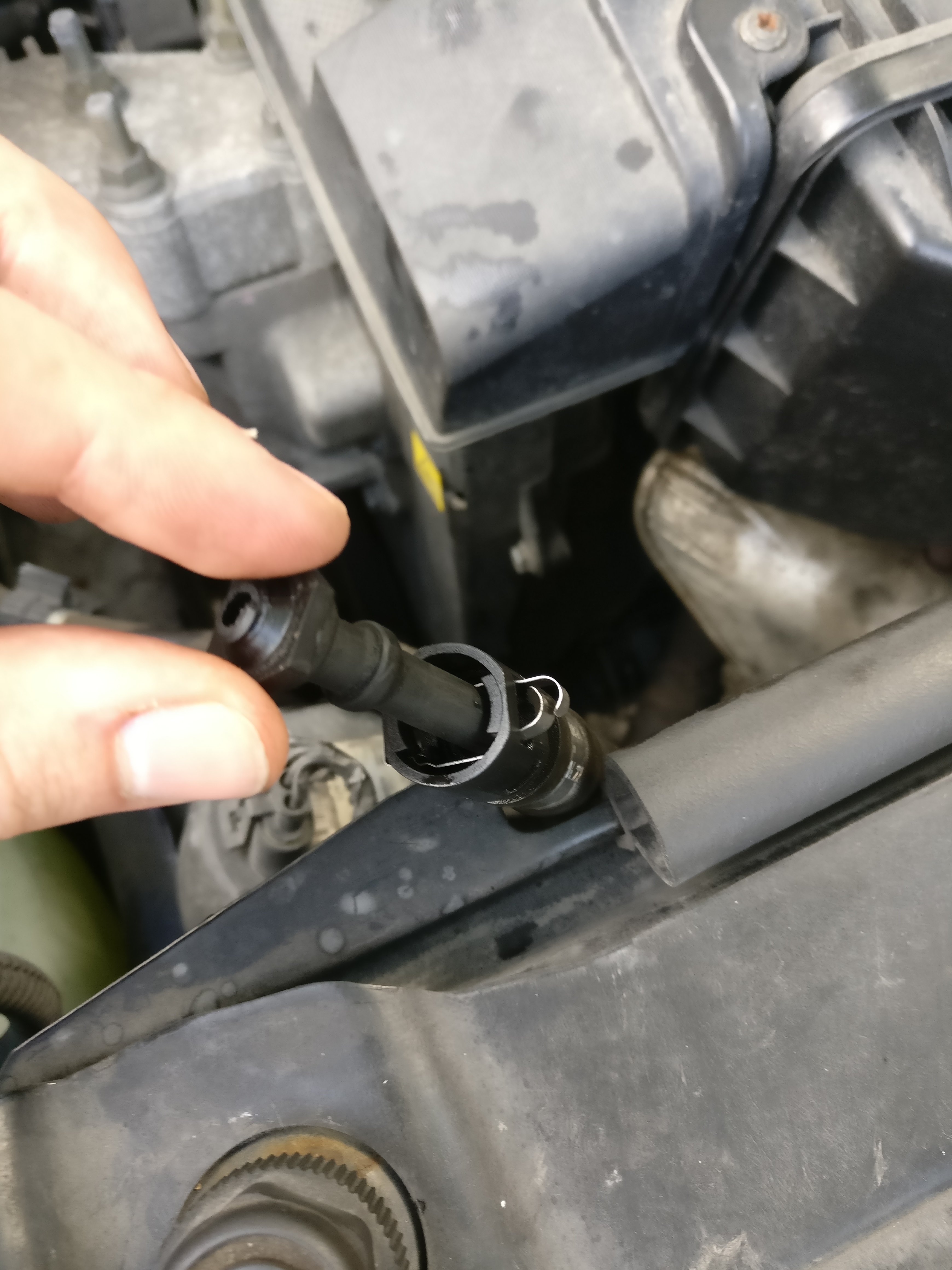 Hose and Attachment