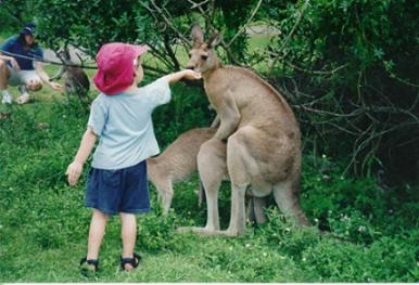 Innocence