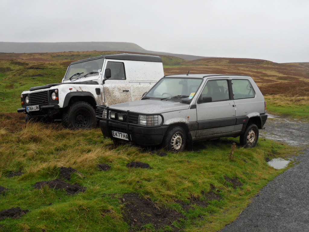 Just getting muddy!