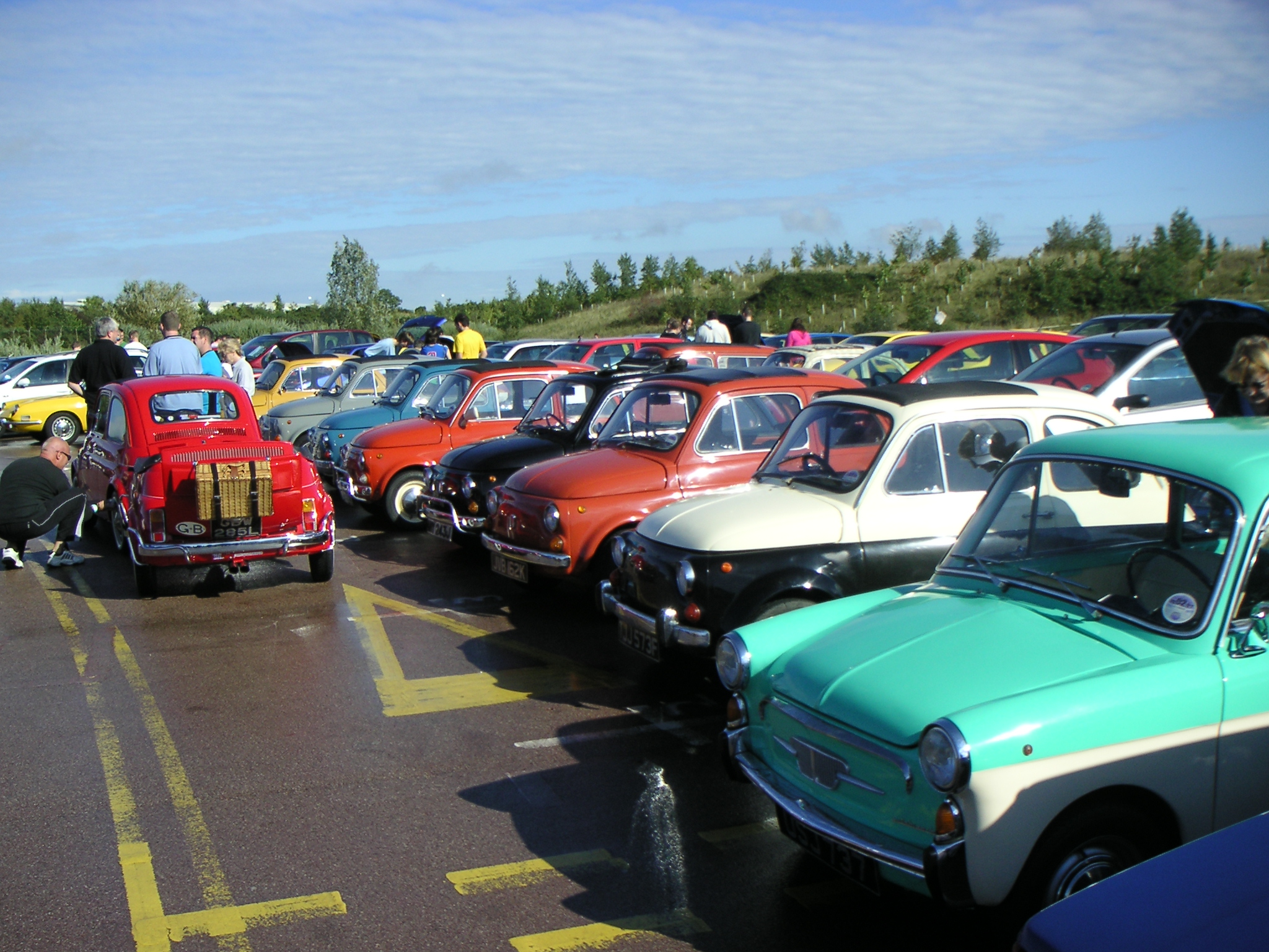 lots_of_500s