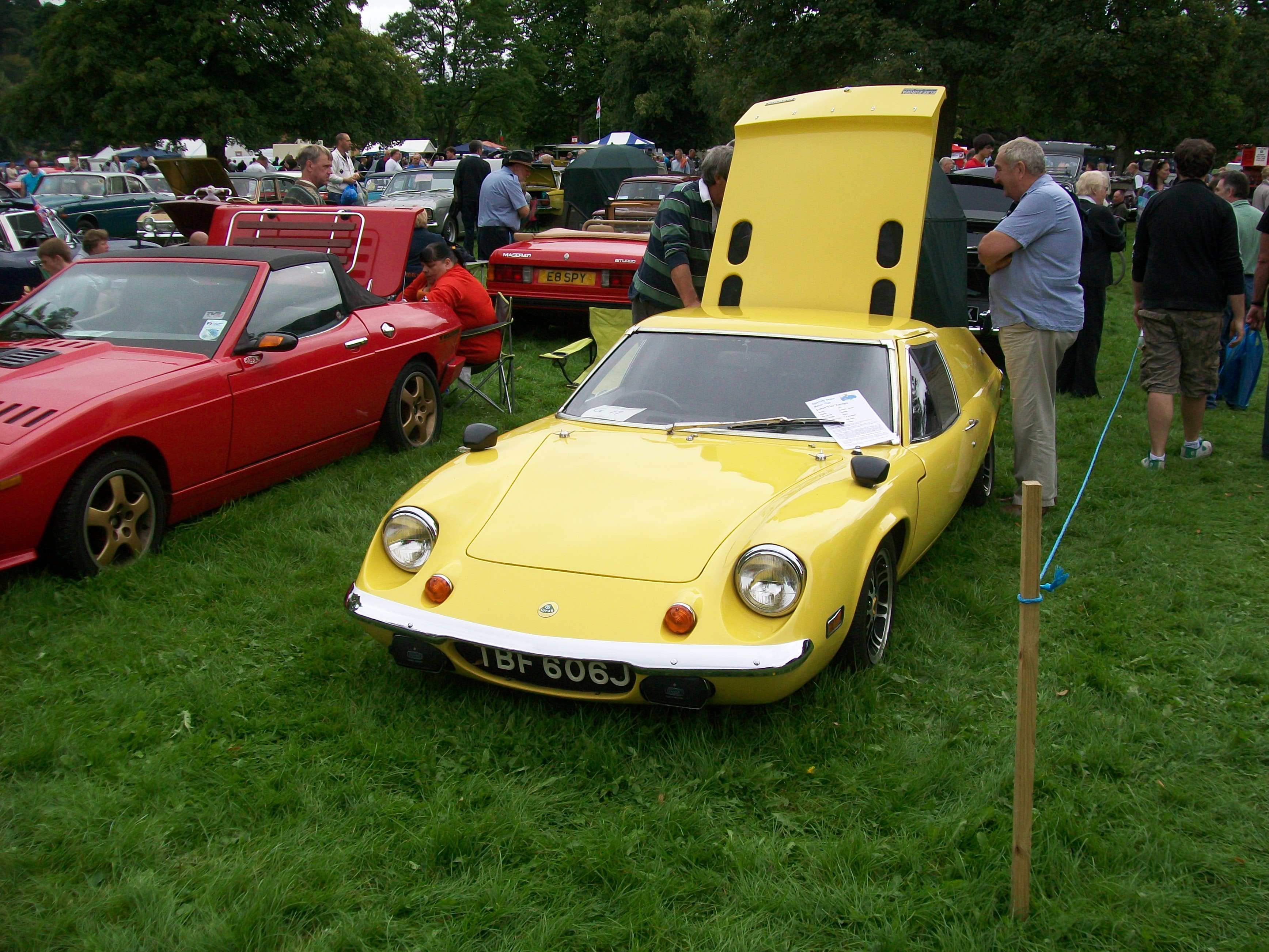 Lotus