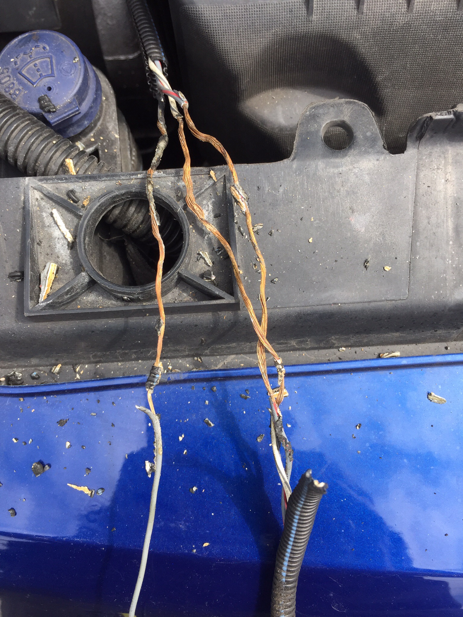 Melted wiring