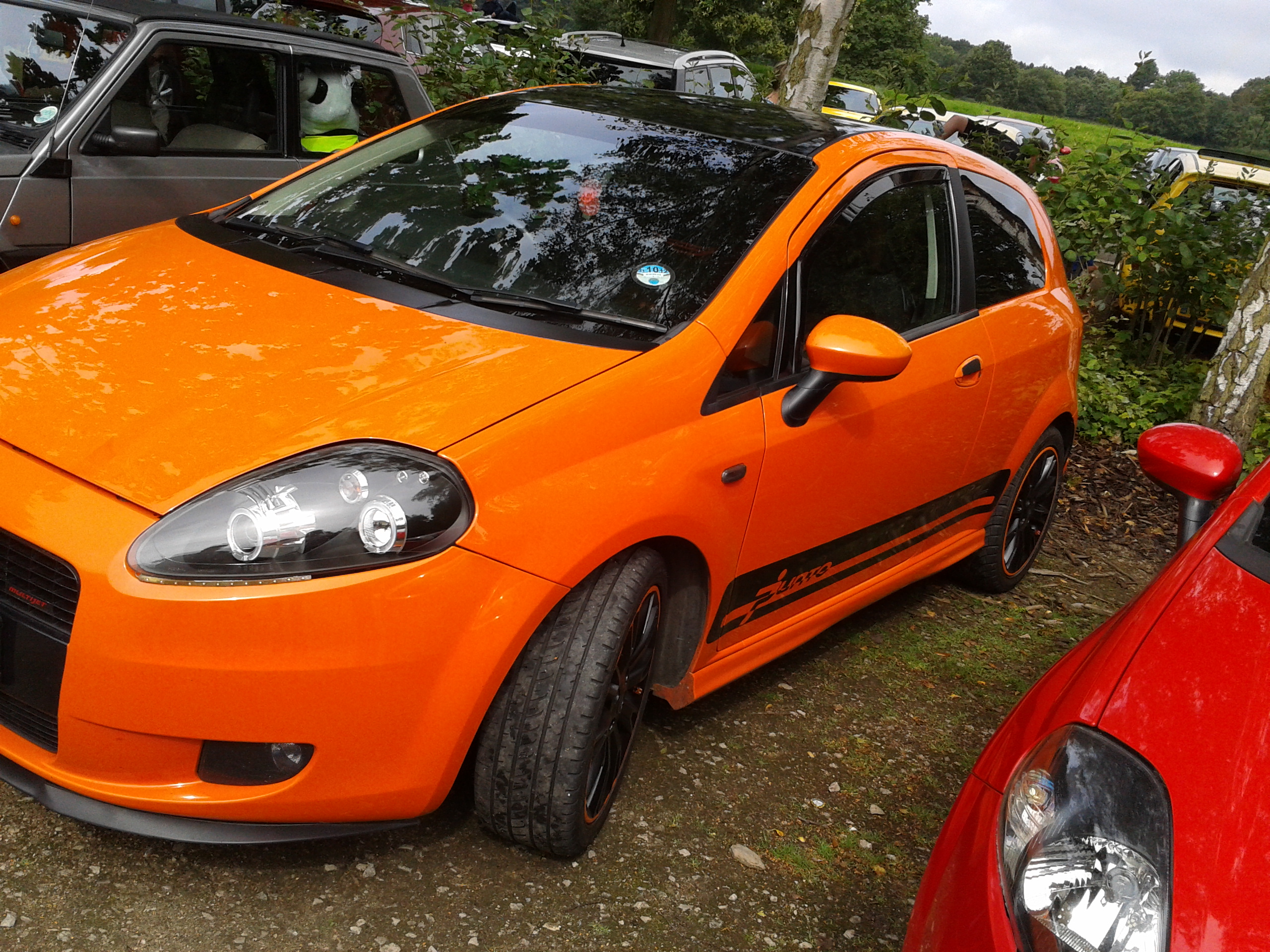 MITCAR12