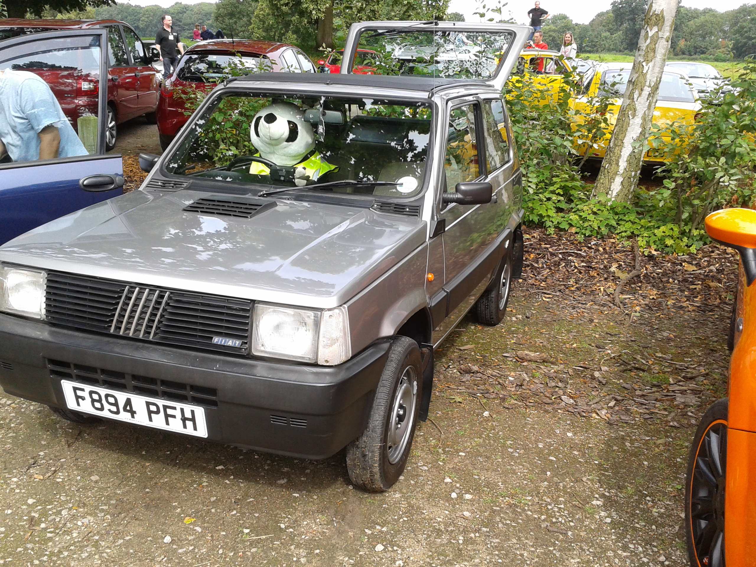 MITCAR12