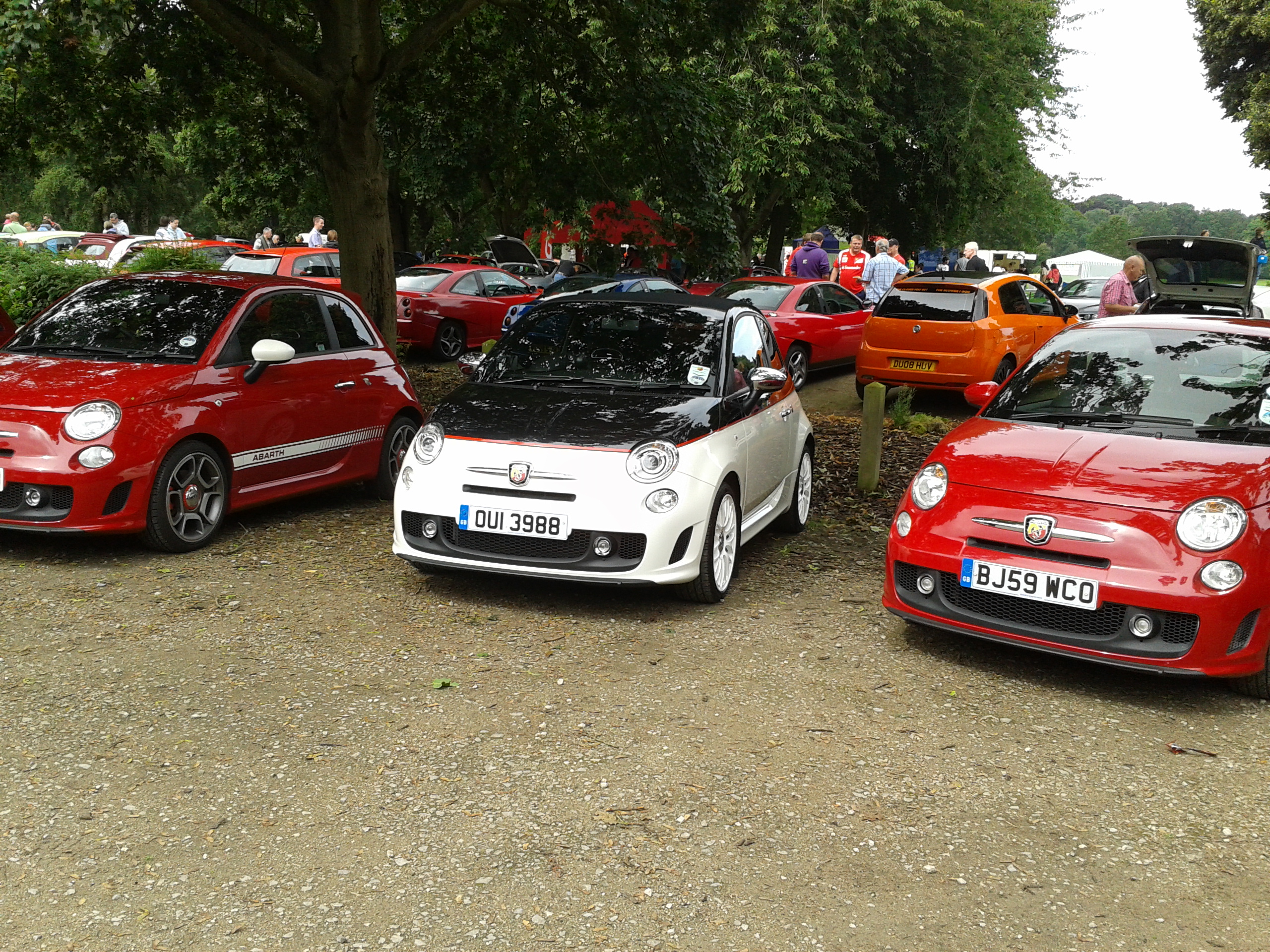 MITCAR12